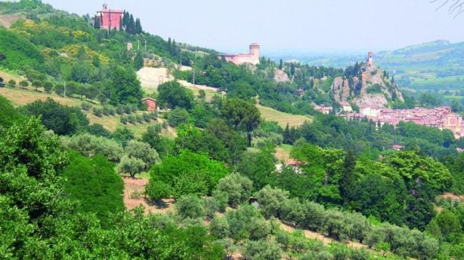 Uliveti sulle colline di Brisighella con il borgo sullo sfondo